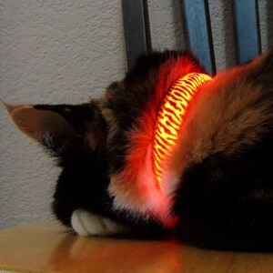 light up cat collar uk