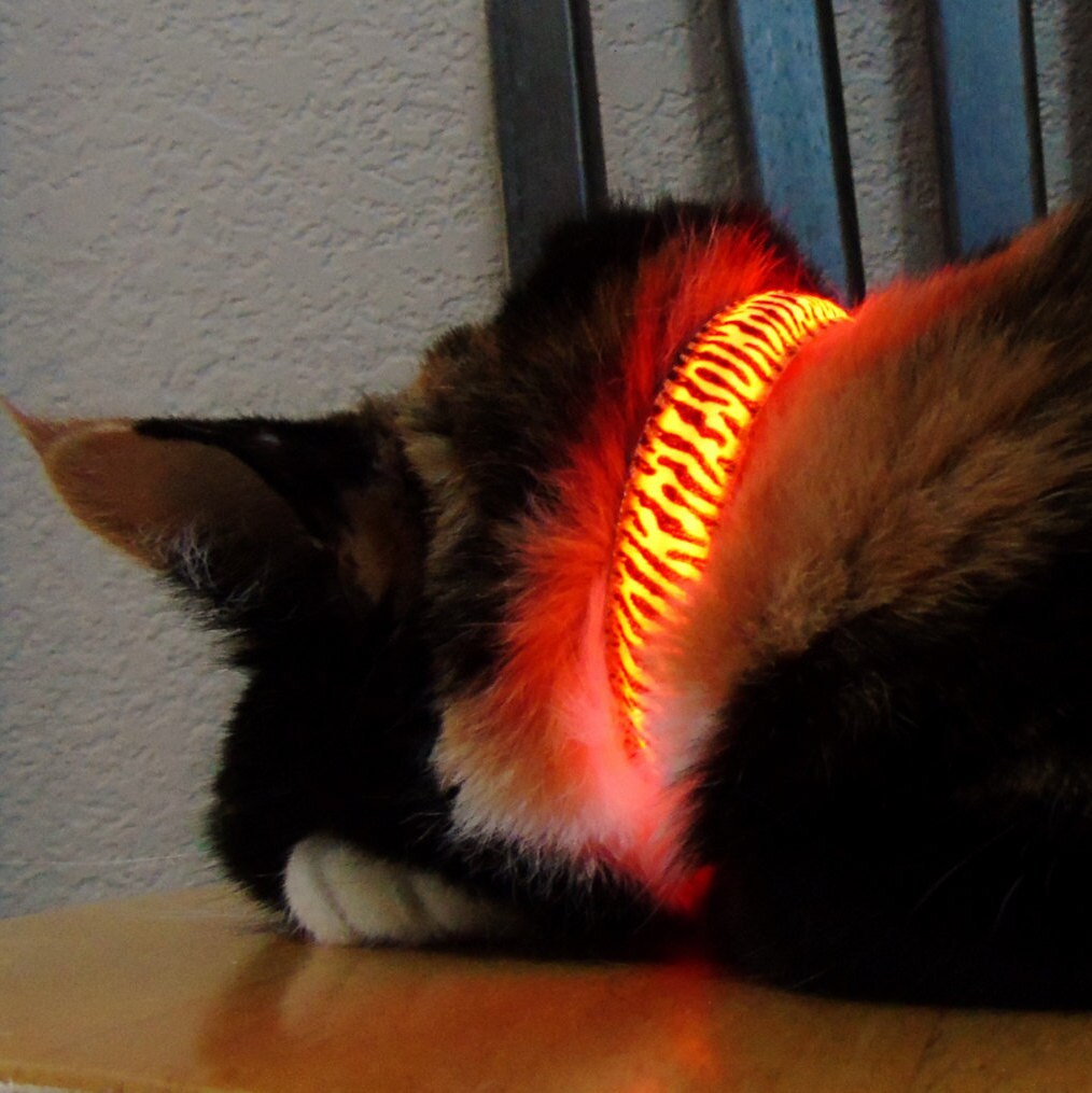 led cat collar