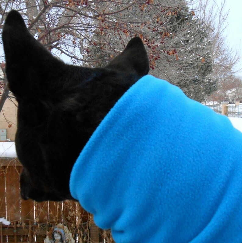 Dog Neck Warmer Aqua Blue Snood Scarf Cowl Gaiter Etsy