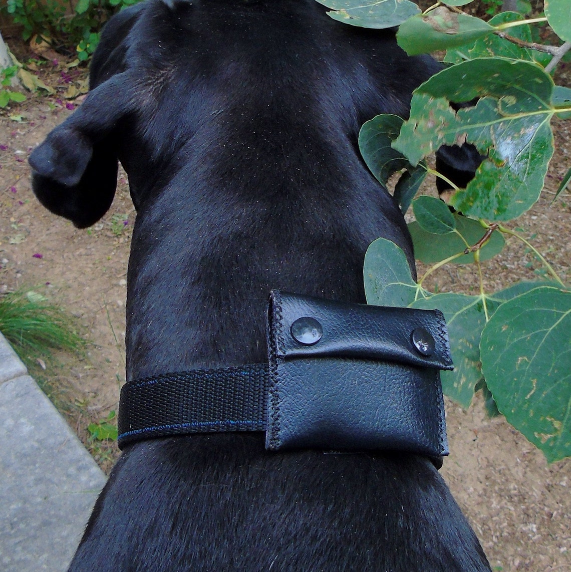 Pouch or bag for dog's collar harness or leash hold Etsy