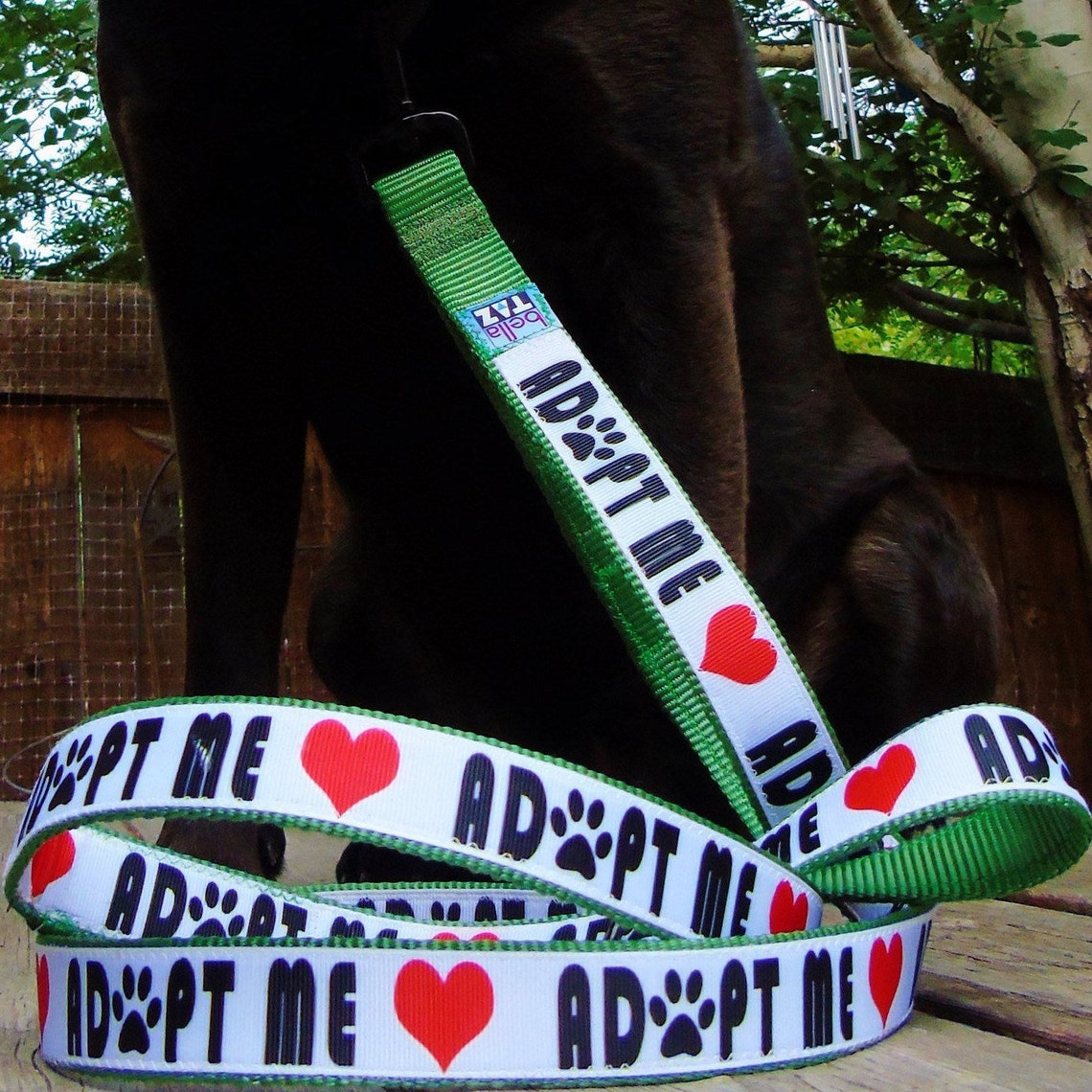 Animal Shelter Dog DONATION Donate Dog Leash or Lightup LED Etsy