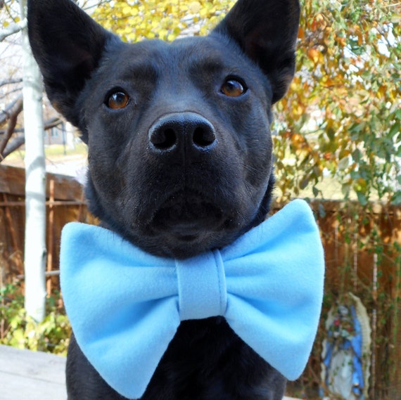 Large dog bows Clearance