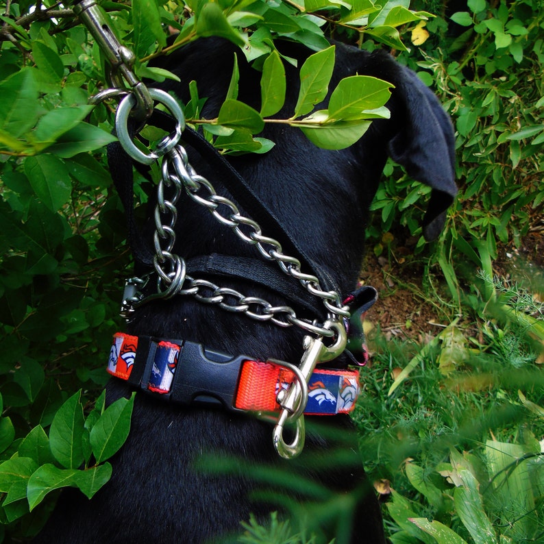 Locking dog carabiner clip or attach leash & prong collar ID Etsy