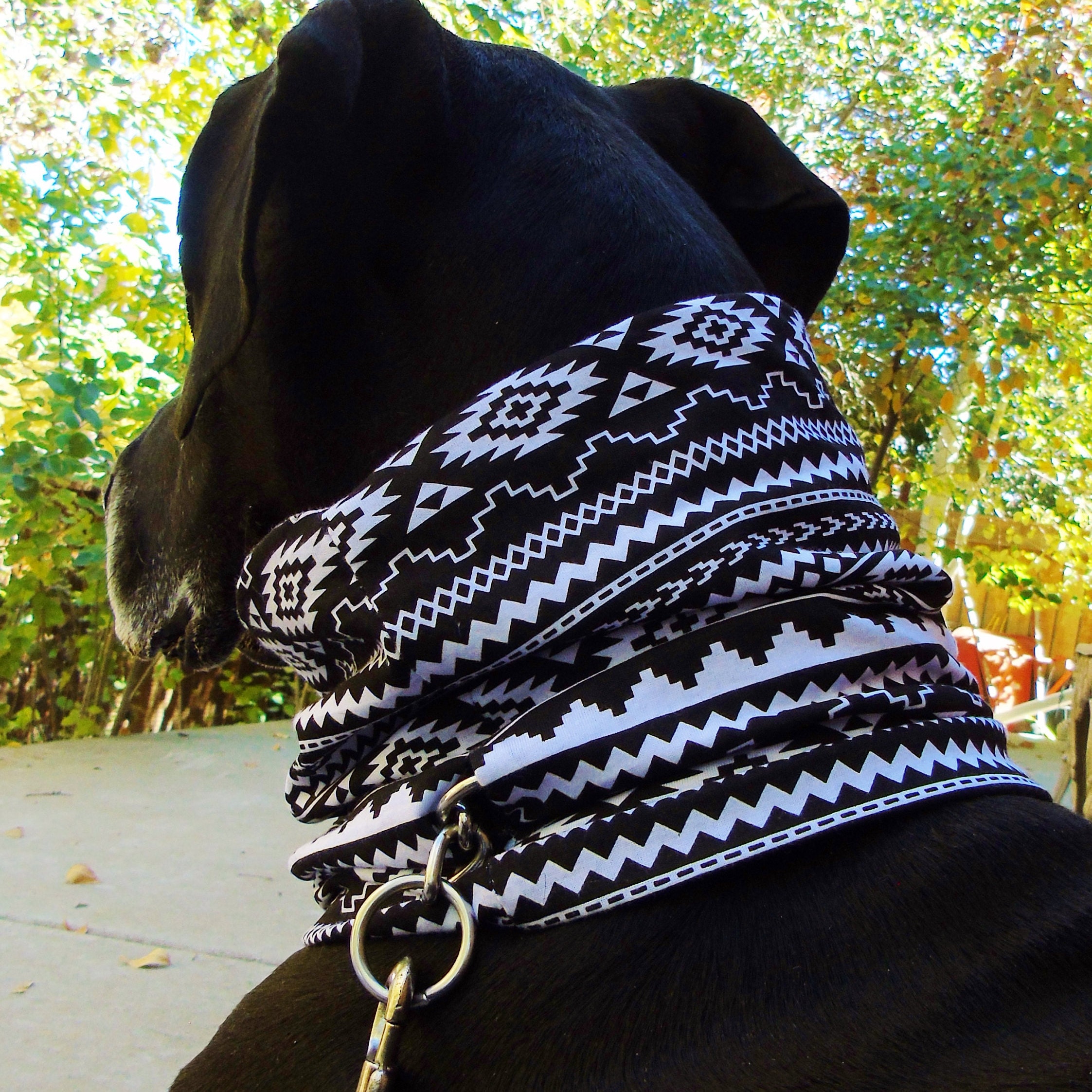 Prong Collar Cover Big Dog Covers for Pinch Prong or Choke Etsy