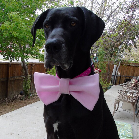 large breed dog bow ties
