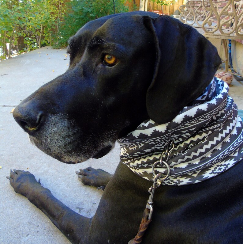 Prong collar cover big dog covers for pinch prong or choke Etsy