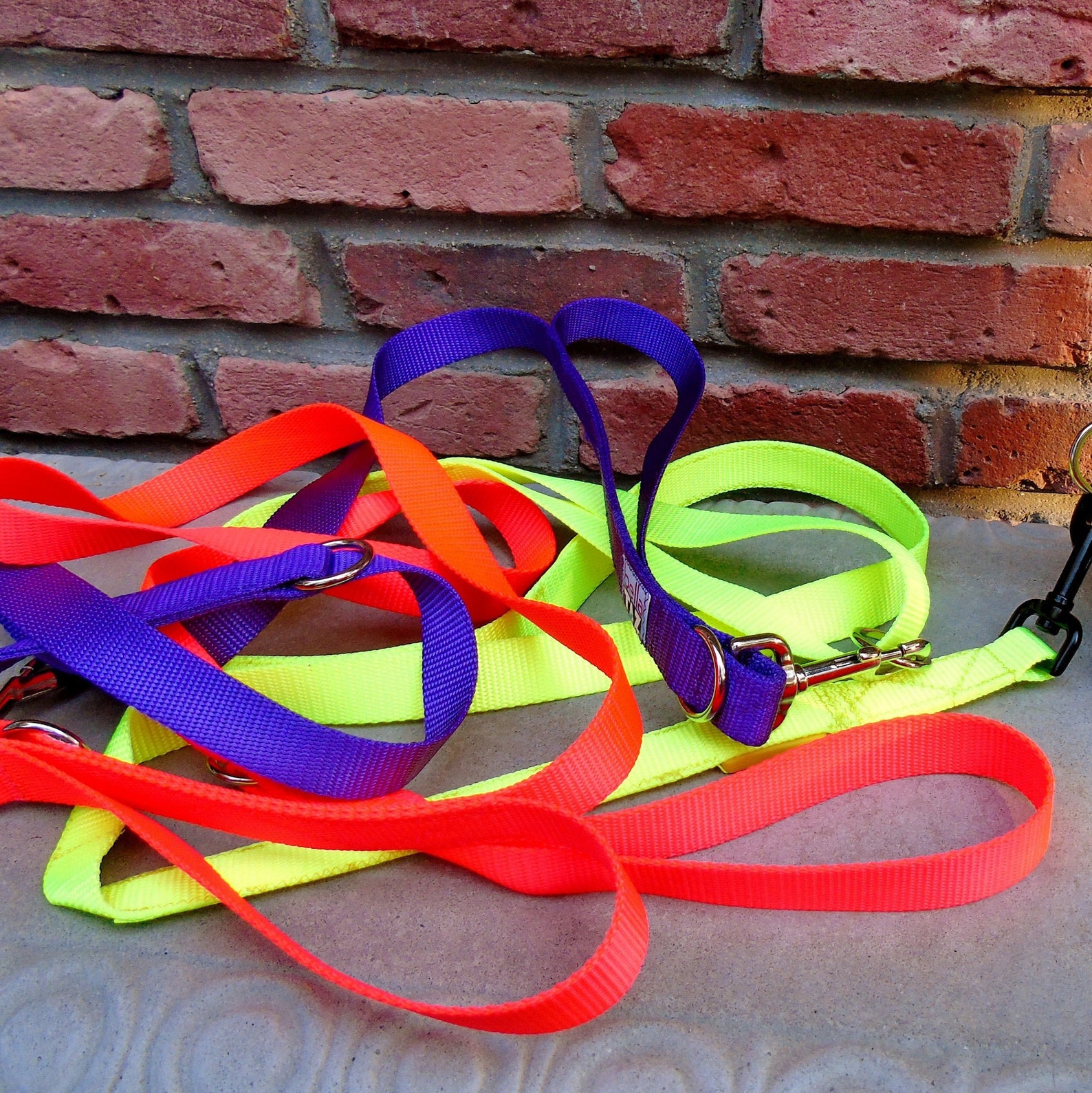 Multiple handle dog leash w/ double 2 or triple 3 extra Etsy