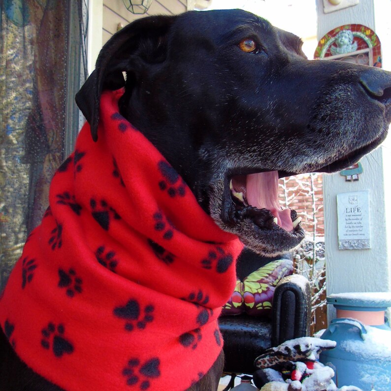 Large dog fleece neck warmer Colorado gaiter Snoods w/ paws Etsy