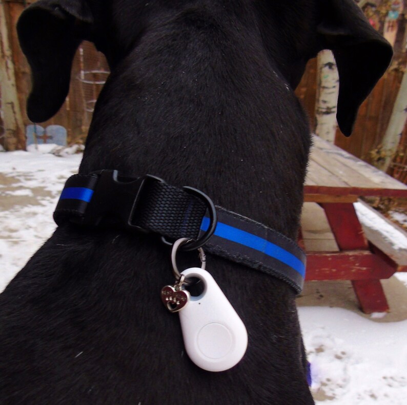 Dog ID Tag Clip Collar Carabiner W/ O Ring Attach Dog's Etsy