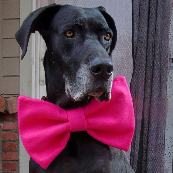 large dog bows