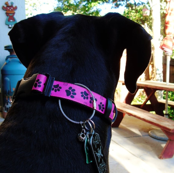 minerva mcgonagall funko pop cat