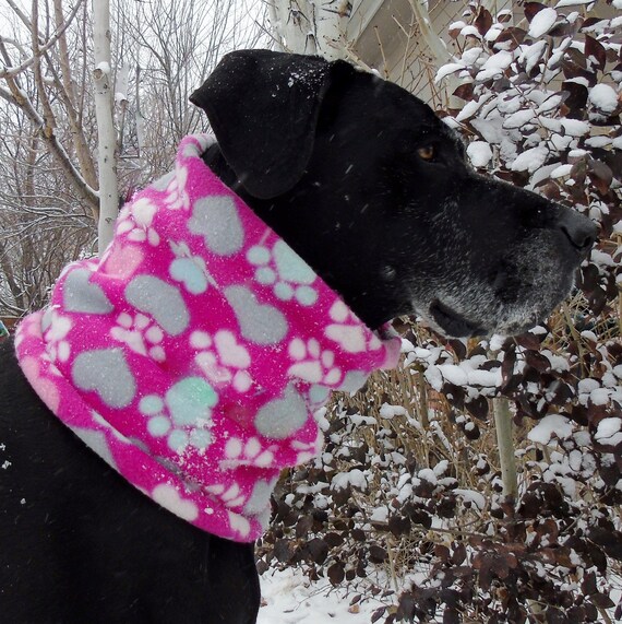 dog winter scarf
