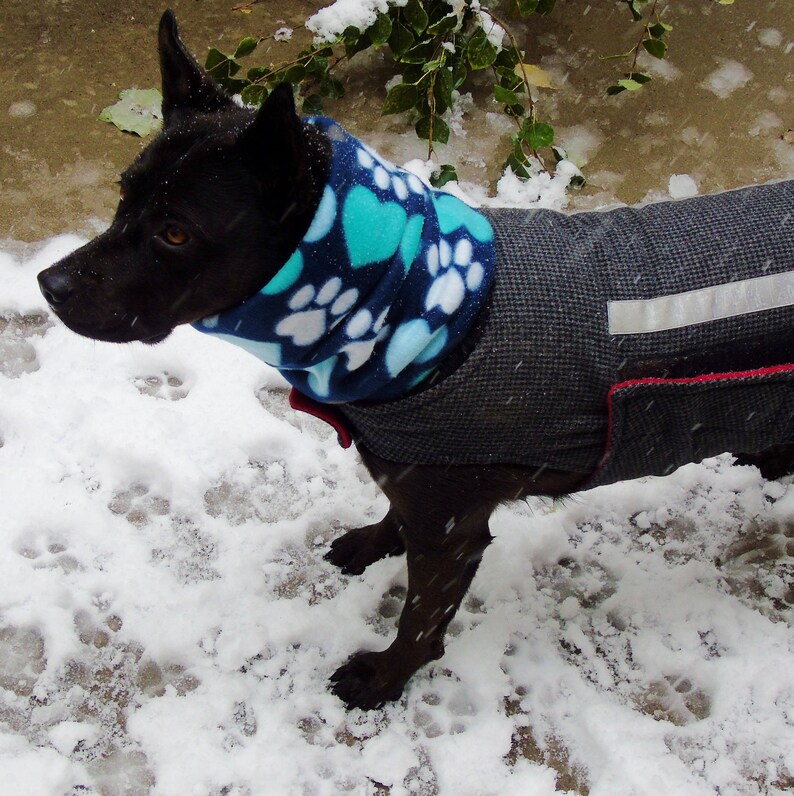 Fleece dog snood Colorado neck warmer scarf Warm up w/ paws Etsy