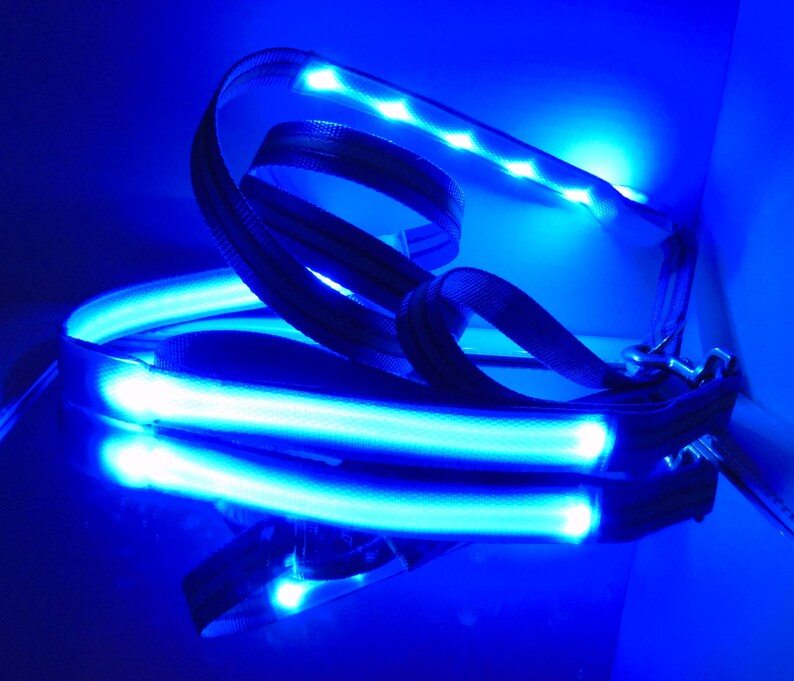 glow in the dark leash