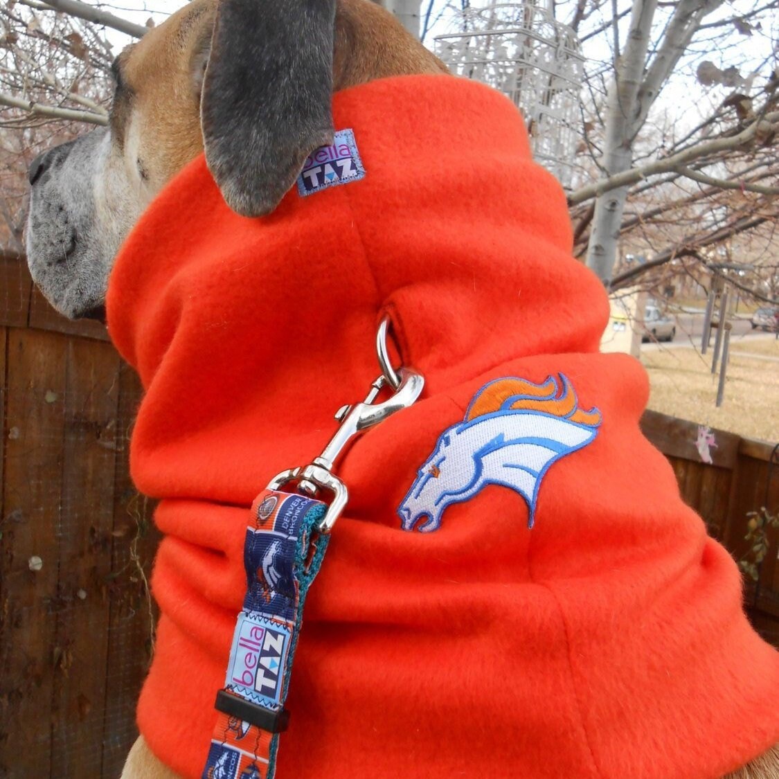 Denver Broncos Dog Snood Neck Warmer in 