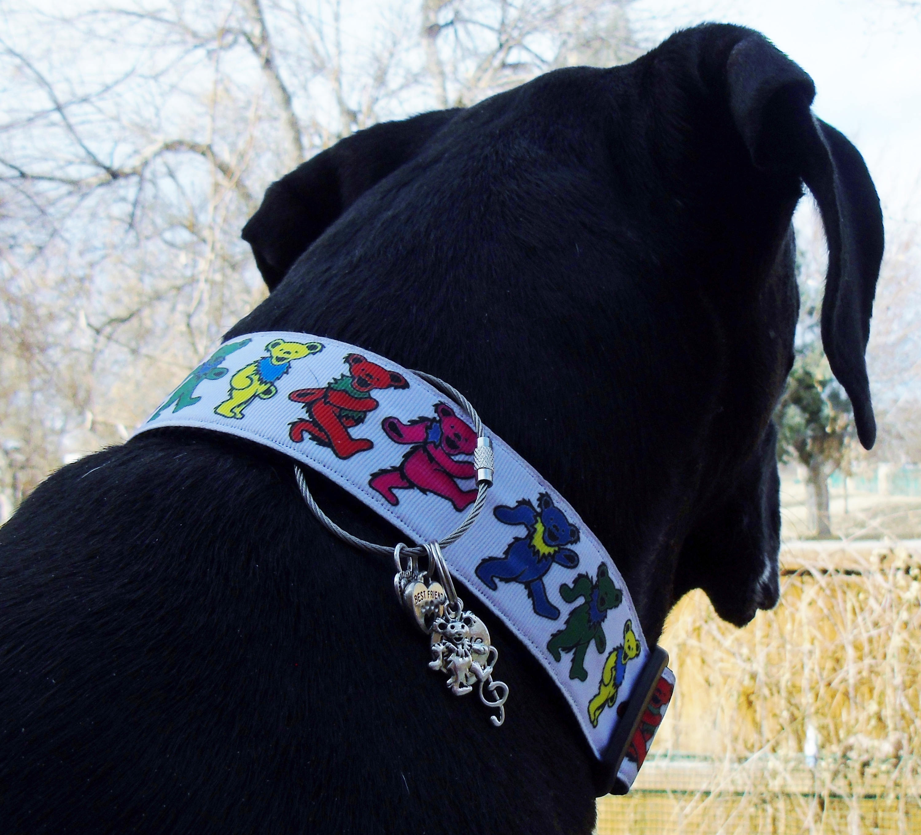 Locking dog collar tag clip lock id tags to dog's collar Etsy