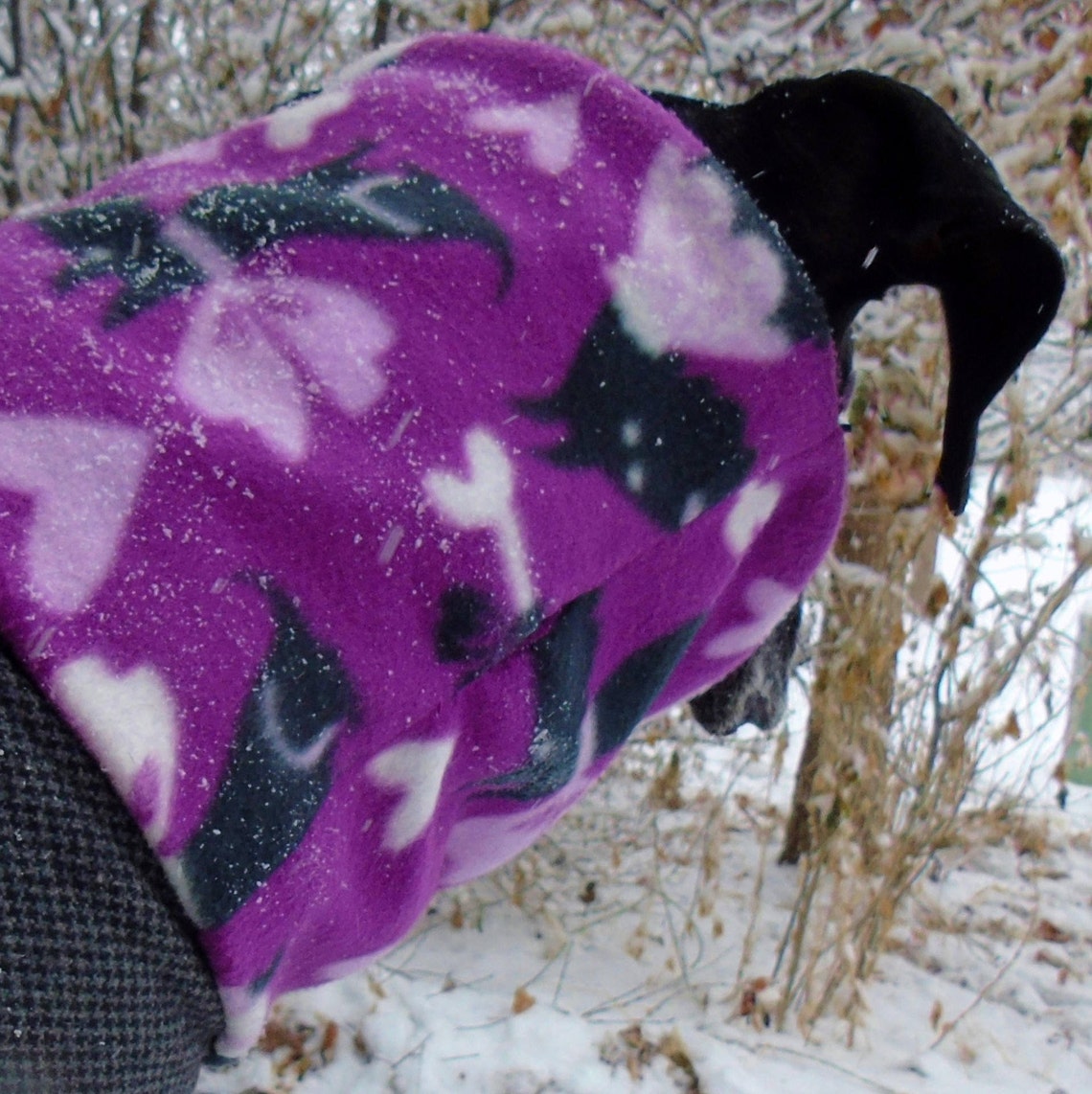 Dog neck warmer fleece snood neckwarmer scarves in different Etsy