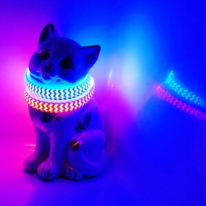 light up cat collar uk