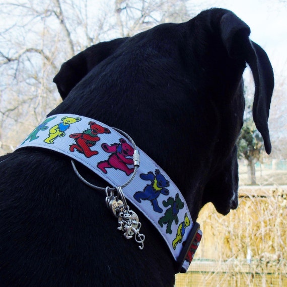 locking dog collar