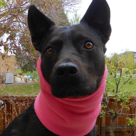 dog neck warmer