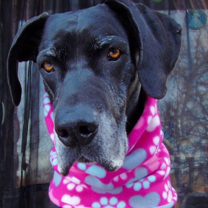 Large dog fleece neck warmer Colorado gaiter Snoods w/ paws Etsy