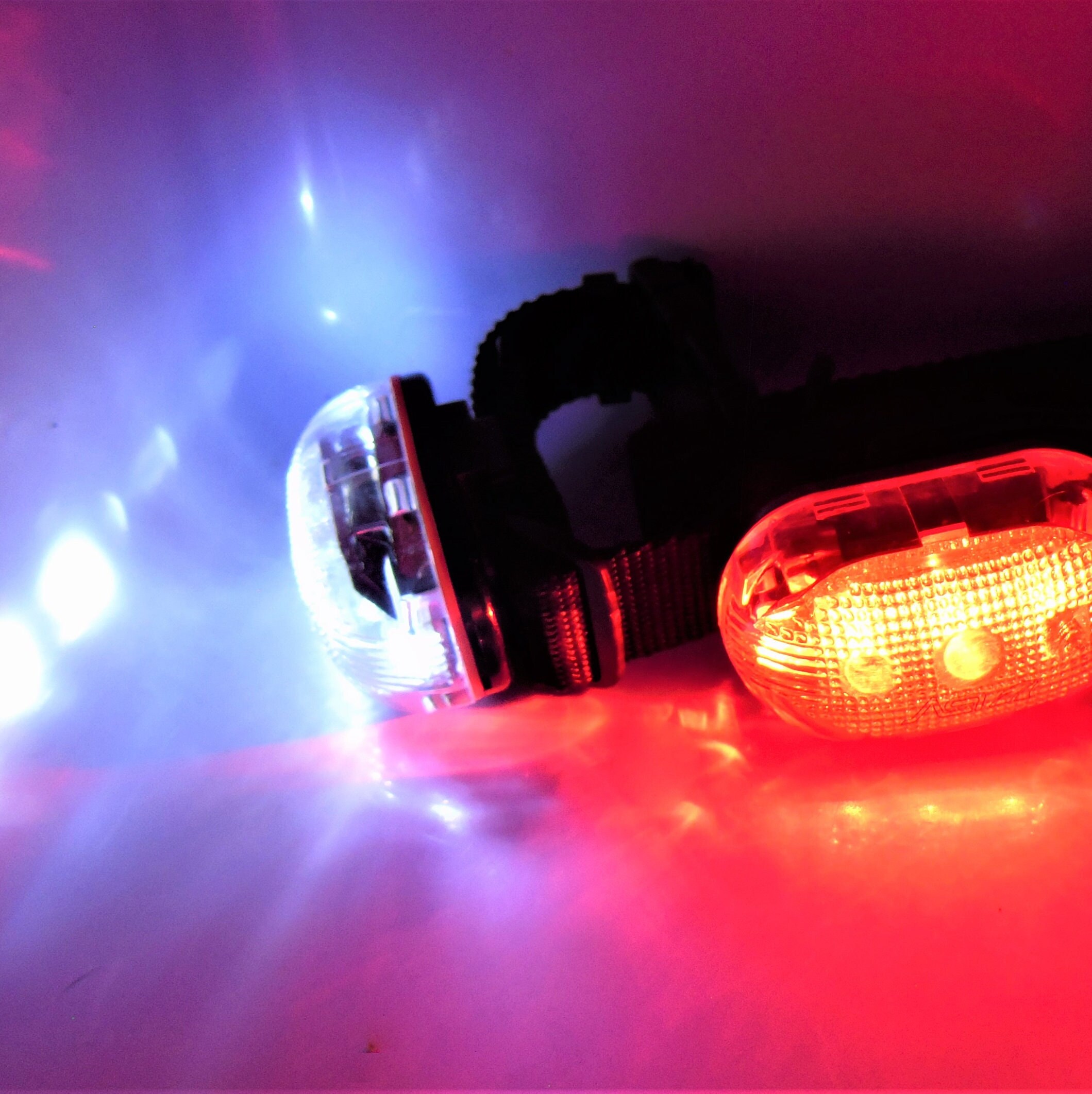 dog walking safety lights