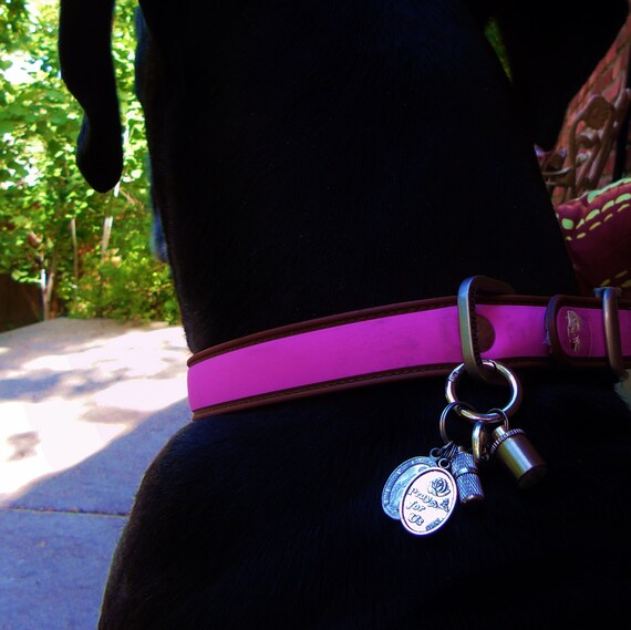 locking dog tag holder