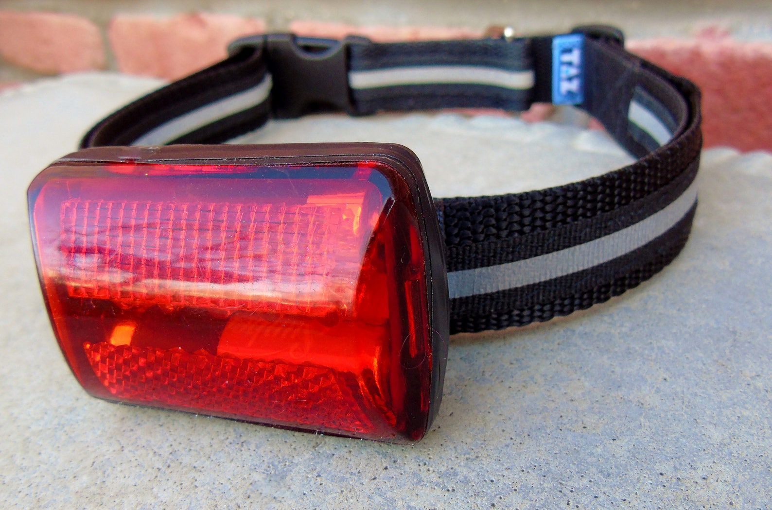 Red LED dog safety light w/ collar or leash glows flashes Etsy