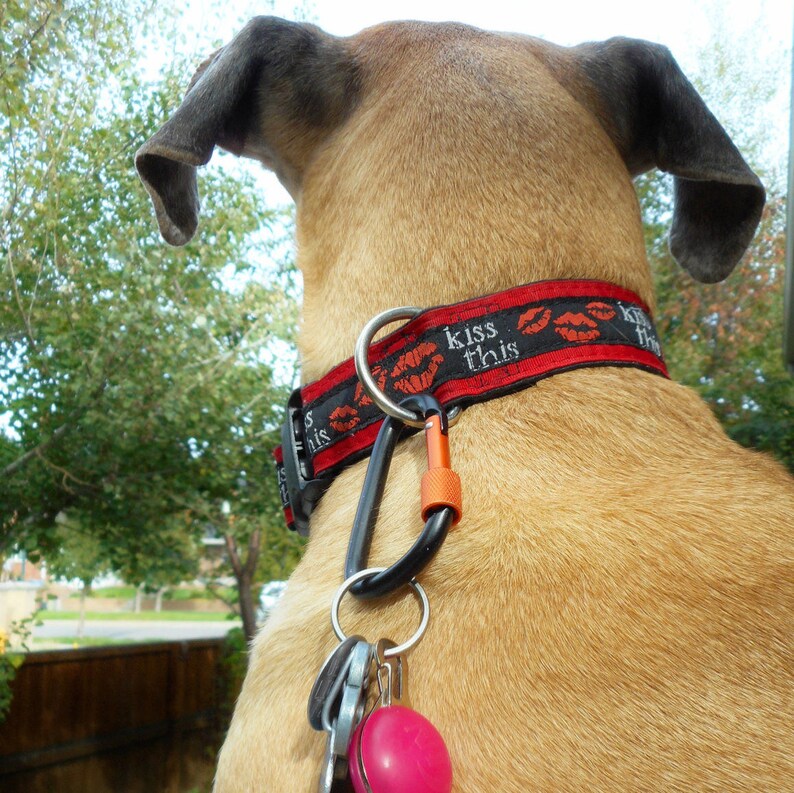 Locking dog carabiner clip or attach leash & prong collar