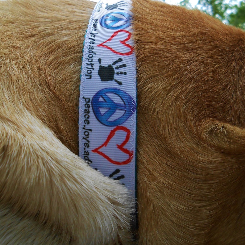 Animal Shelter Dog DONATION Donate Dog Leash or Lightup LED Etsy