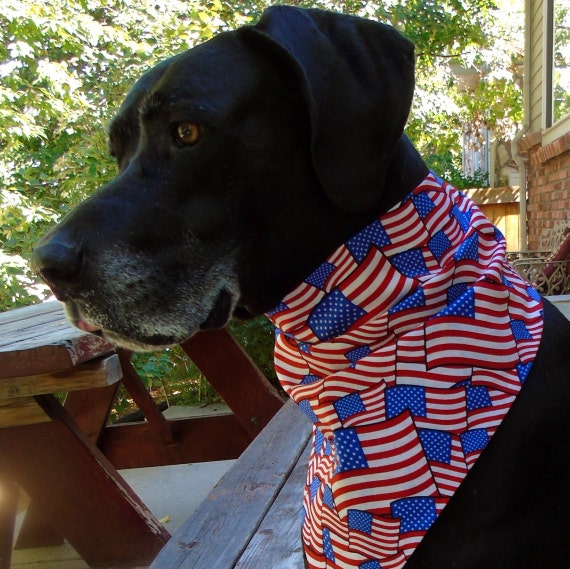 hotdog with toothpaste