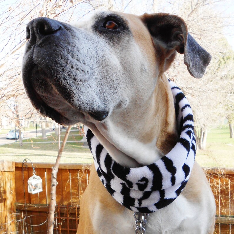 Dog prong collar cover training pinch coller & choke chain Etsy