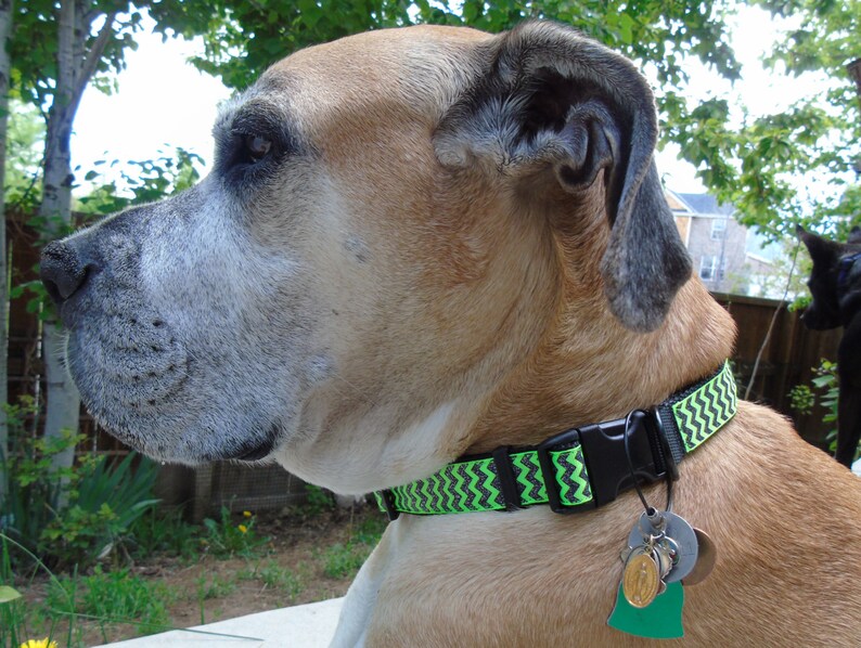 Locking Dog Collar Tag Clip Lock Id Tags to Dog's Collar Etsy