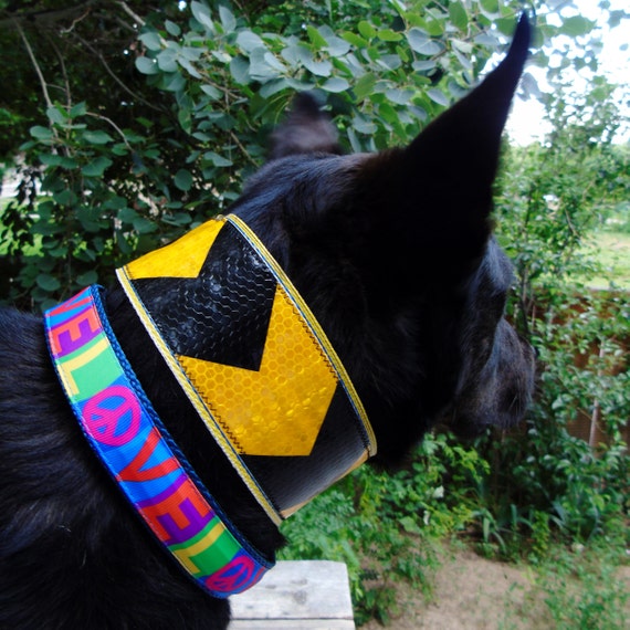 wide band dog collar