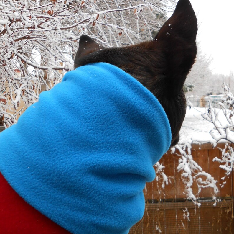 Dog Neck Warmer Aqua Blue Snood Scarf Cowl Gaiter Etsy