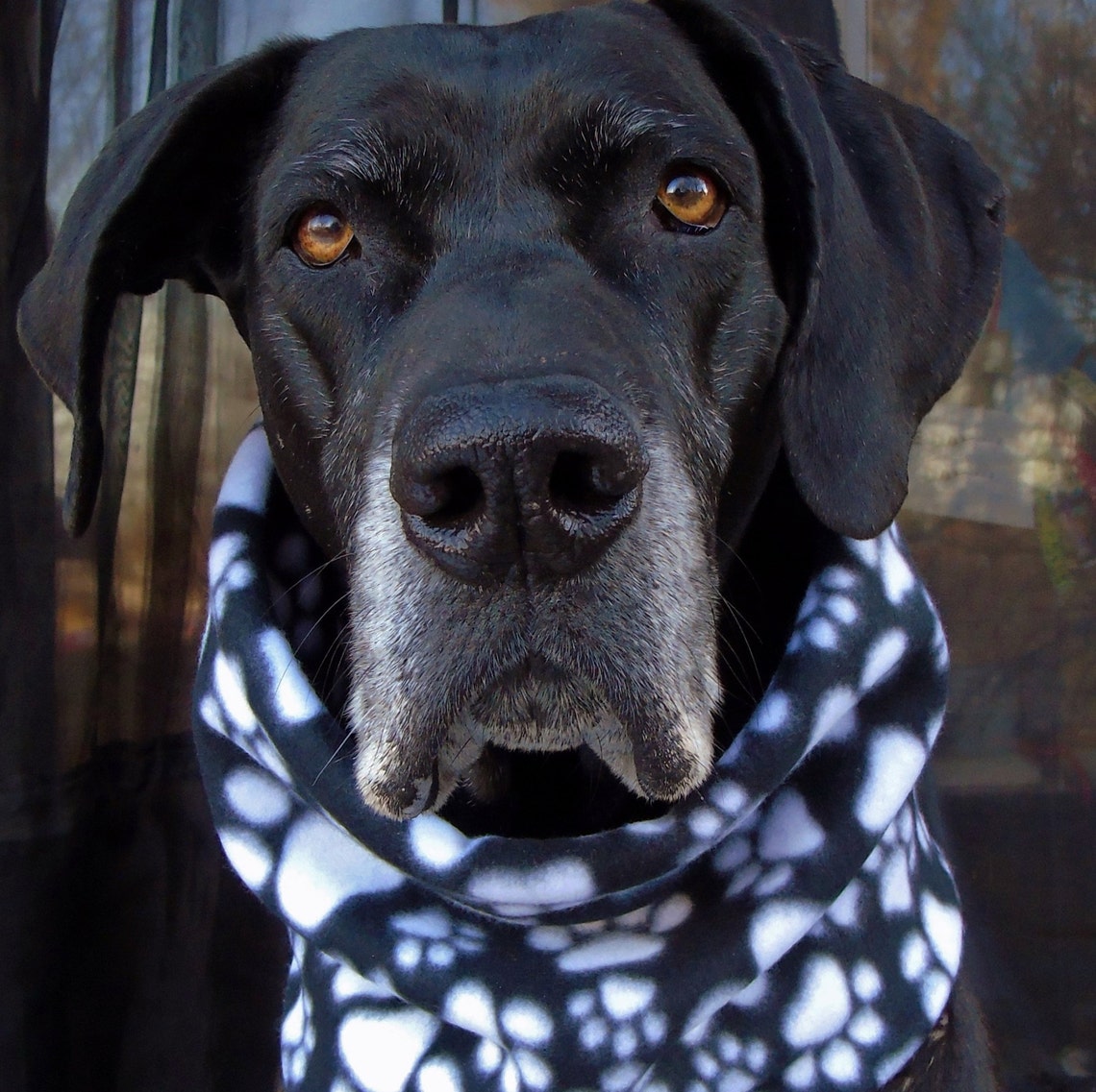 Fleece dog neck warmer scarf snood gaiter collar cover Etsy