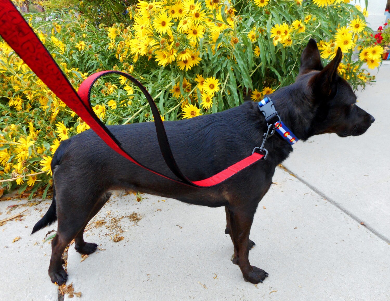 Multiple handle dog leash w/ double 2 or triple 3 extra Etsy