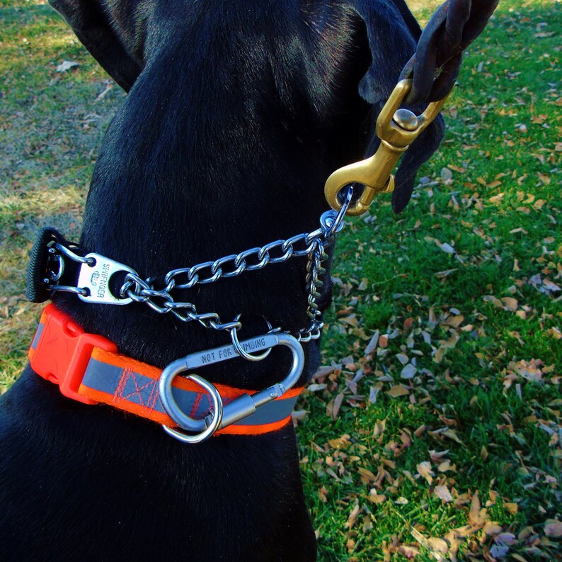 Locking Dog Collar Tag Clip Lock Id Tags to Dog's Collar Etsy