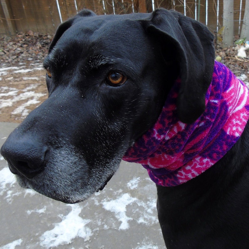 Dog prong collar cover training pinch coller & choke chain Etsy