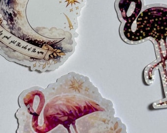 Juego de pegatinas de pájaros astrónomos (cantidad: 8)