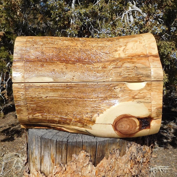 Fascinating Red Cedar Log Box with Hinged Lid, Live Edge Box, Bandsaw Box, Stash Box, Gun Box, Remotes Box, Coffee Table Box