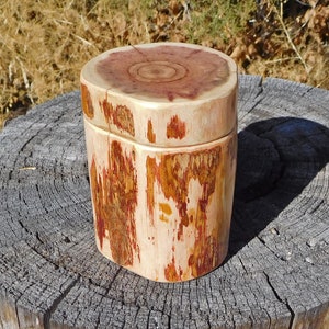 Red Cedar Salt Cellar / Treasure Keeper with Magnetic Lid, 1/3 cup Capacity