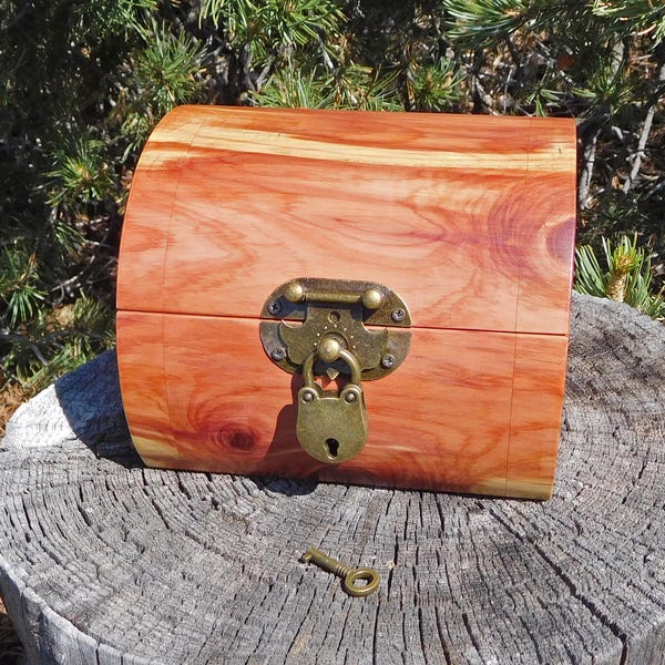 Red Cedar Log Box with Hinged Lid and Padlock, Small Chest Made from a Red Cedar Log, Locking box