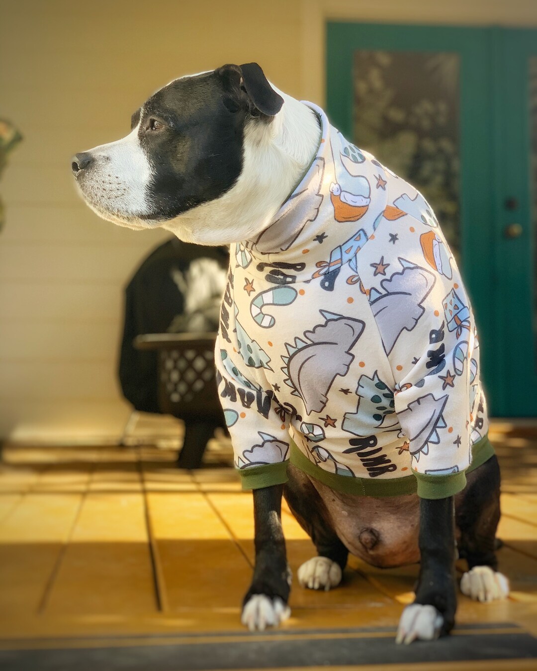 Winter Fleece Sweater for Dogs, Christmas Fleece Dog Sweater, Dog