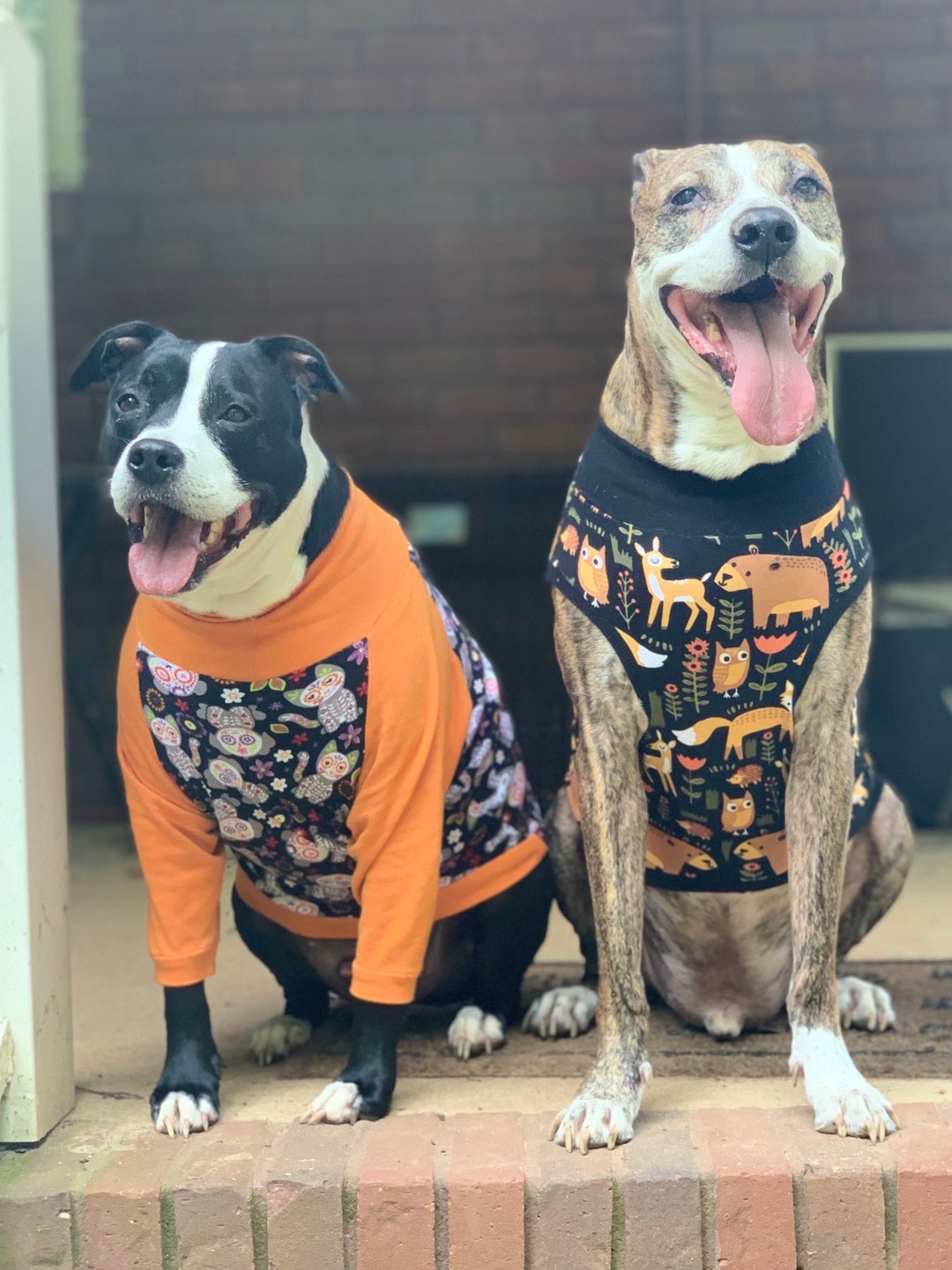 Halloween Dog Shirt Dog Pajamas Halloween Dog Top Holiday Etsy