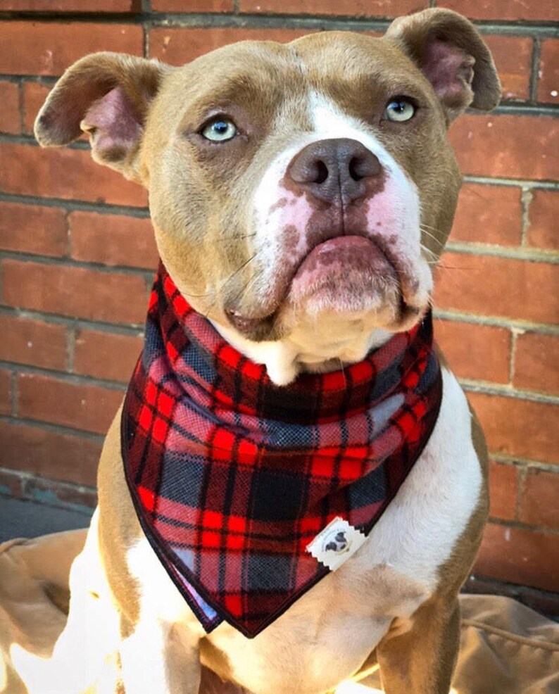 Tie On Bandana Scarf Dog Bandana Red Black Grey Flannel Scarf Plaid Fall Georgia Cat Bandana