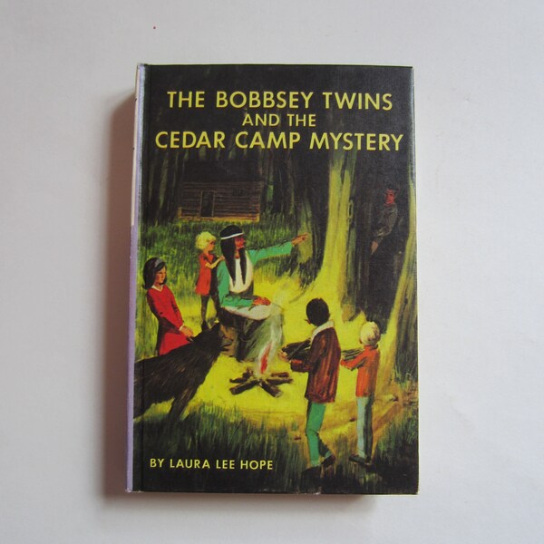 The Bobbsey Twins And the Cedar Camp Mystery, Bobbsey Twins Series No. 14, Laura Lee Hope, Lavender Cover 1970s Bobbsey Twins, Cedar Camp