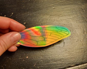 Holographic Cicada Wing Sticker Created from Original Painting -Die-cut Art Sticker for Laptop -Decal Nature Embellishment Art Gift under 50
