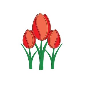 May include: Three red tulips with green stems and leaves. The tulips are arranged in a cluster with the tallest tulip in the center.