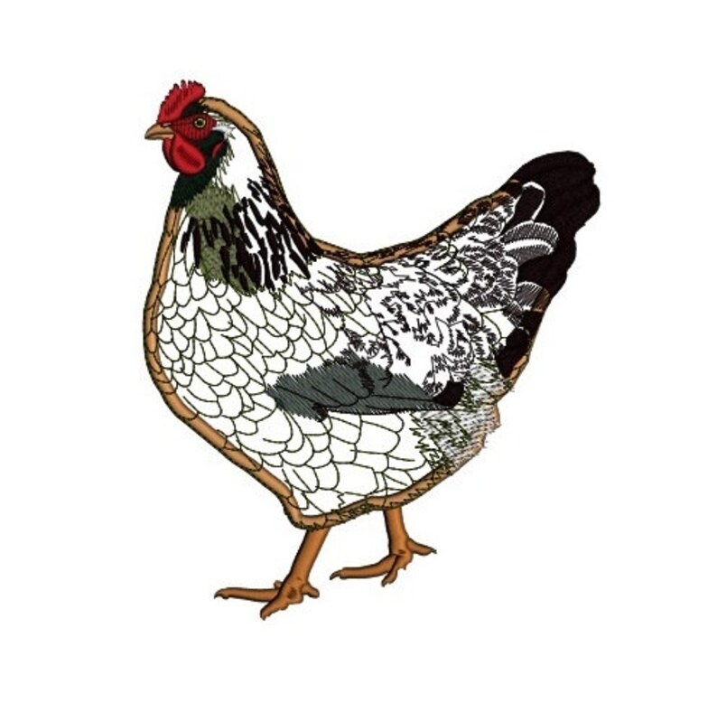 Hen Applique Embroidery Hen Applique Embroidery